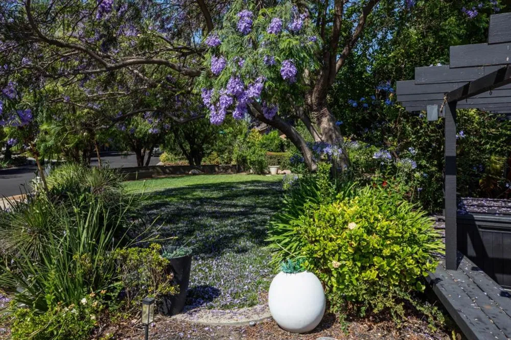 774 Betty Court Sunnyvale, CA 94086
