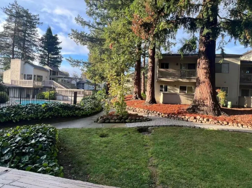 19124 Vineyard Lane Saratoga, CA 95070
