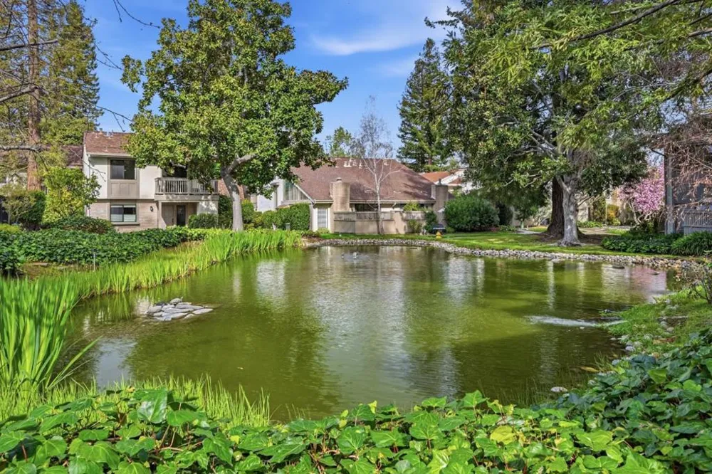 19124 Vineyard Lane Saratoga, CA 95070