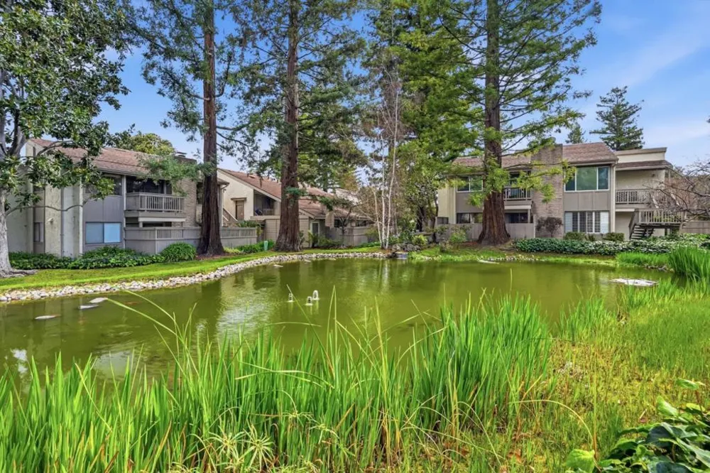 19124 Vineyard Lane Saratoga, CA 95070