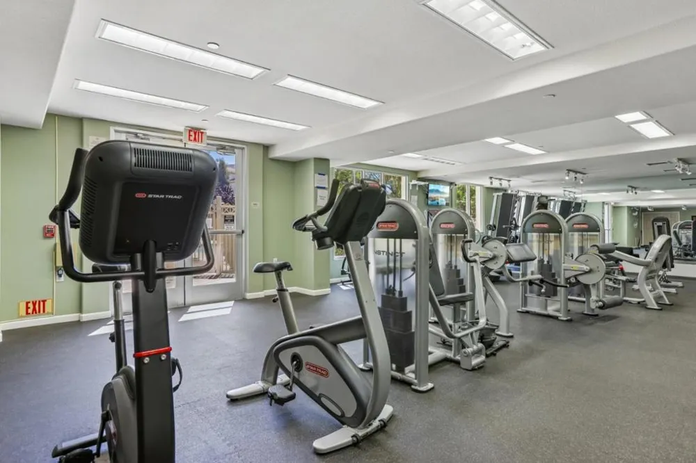 1101 S Main Street #118 Milpitas, CA 95035