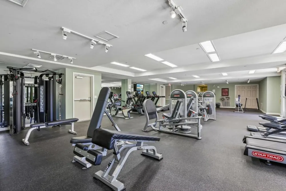1101 S Main Street #118 Milpitas, CA 95035