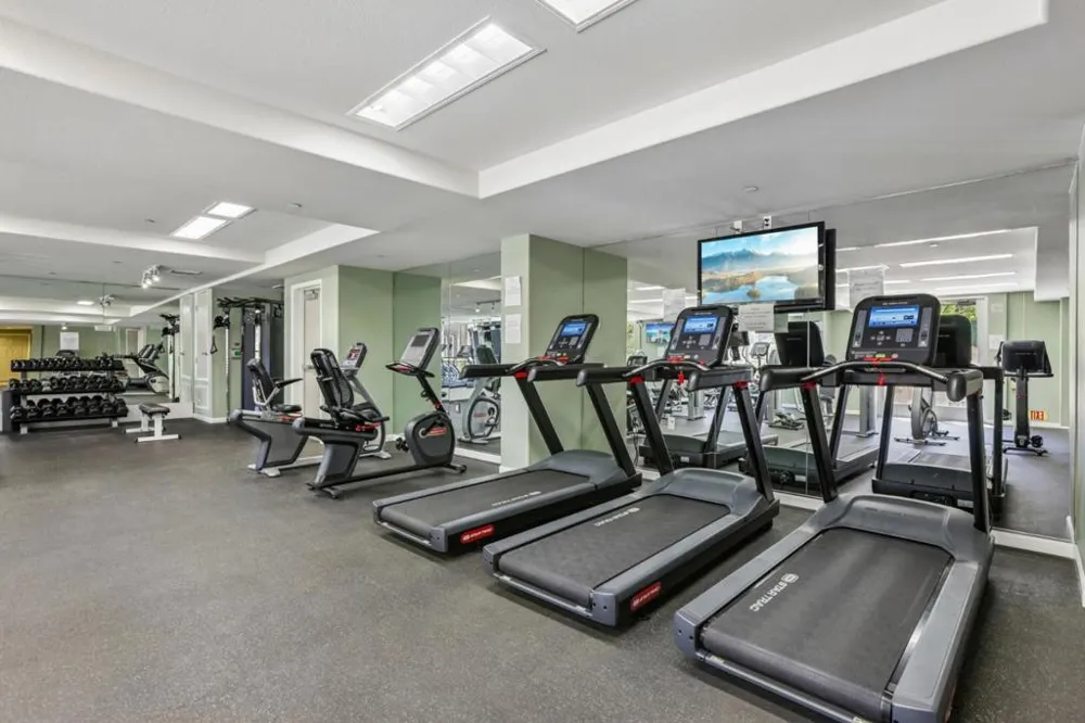 1101 S Main Street #118 Milpitas, CA 95035