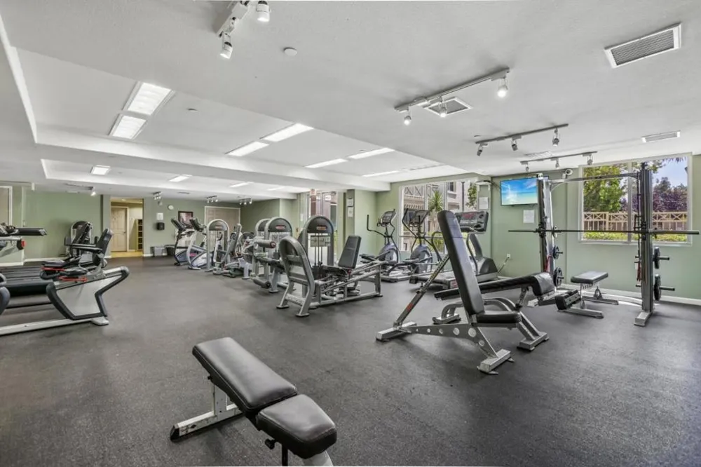 1101 S Main Street #118 Milpitas, CA 95035
