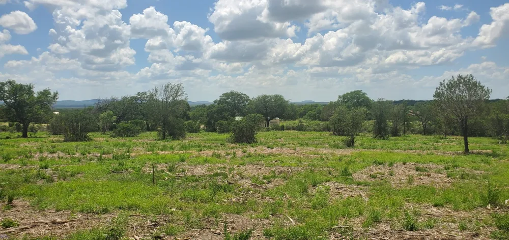 6 Lehne Loop Buchanan Dam, TX 78609