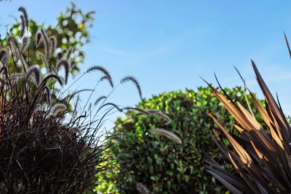 213 Sand Street Aptos, CA 95003