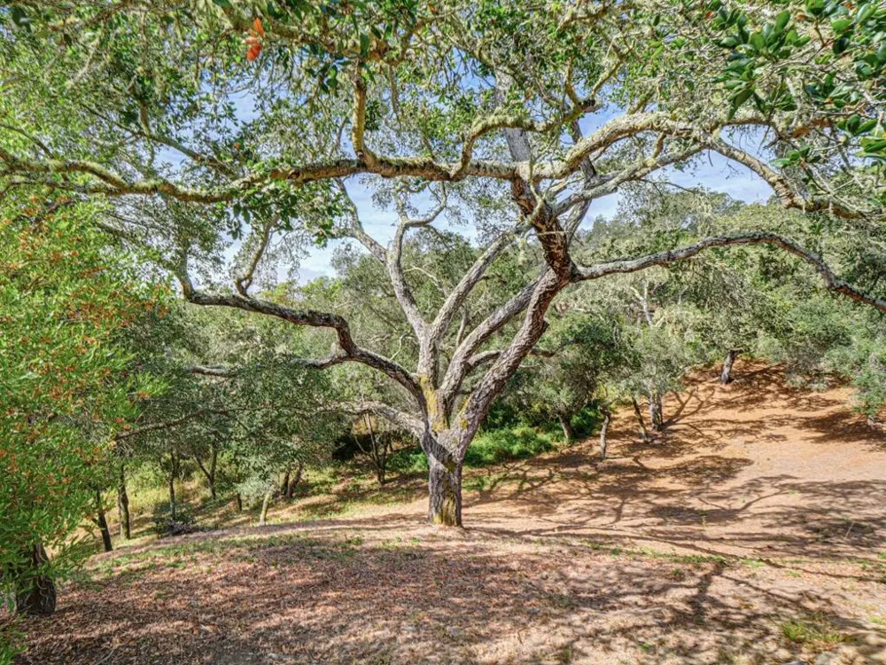 700 Meadowridge Road Watsonville, CA 95076