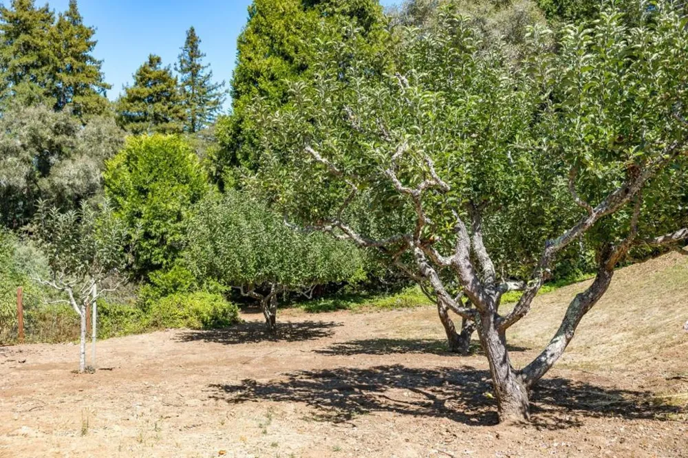 780 Lagunita Drive Soquel, CA 95073