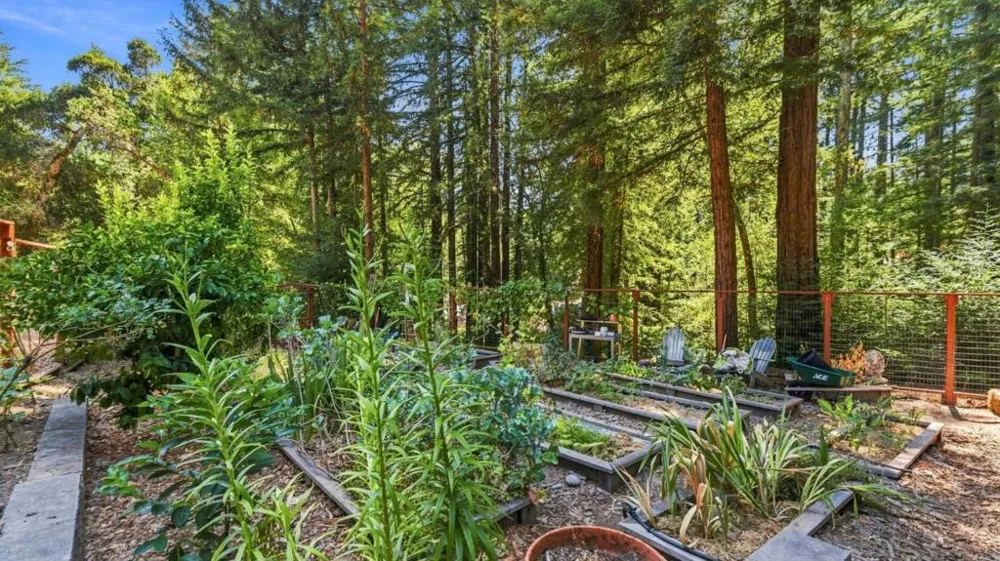 230 Orman Road Boulder Creek, CA 95006