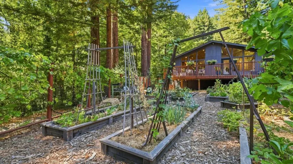 230 Orman Road Boulder Creek, CA 95006