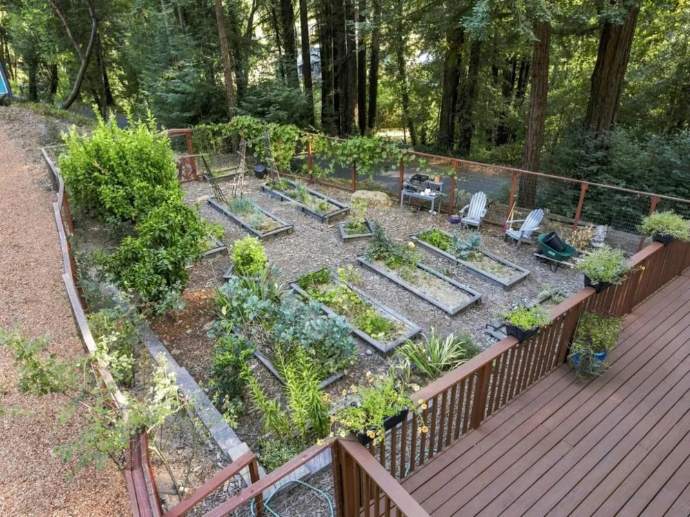 230 Orman Road Boulder Creek, CA 95006
