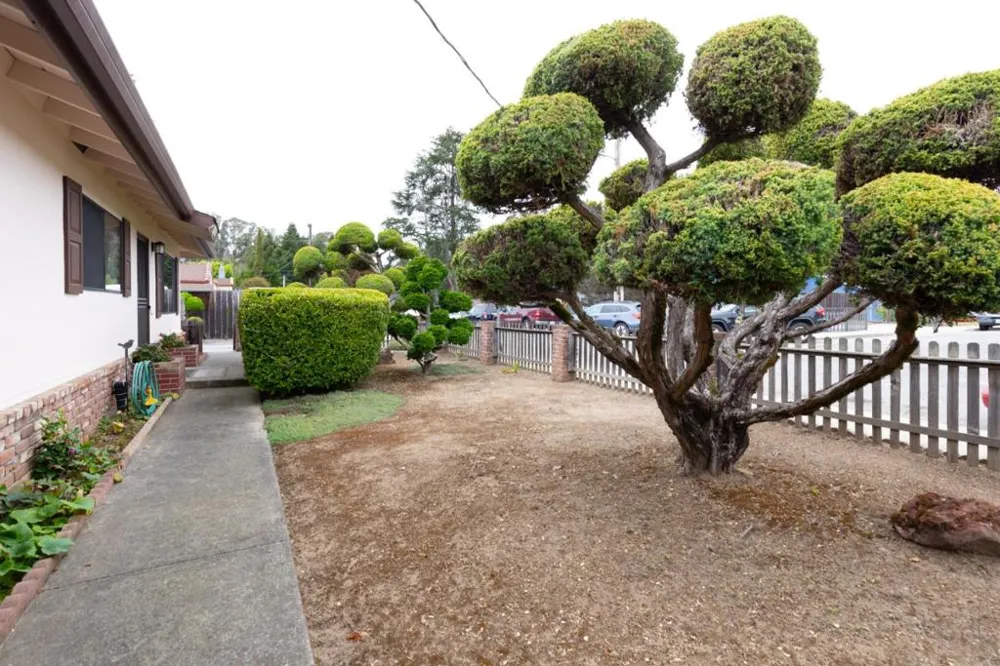 2520 Howe Street Santa Cruz, CA 95065