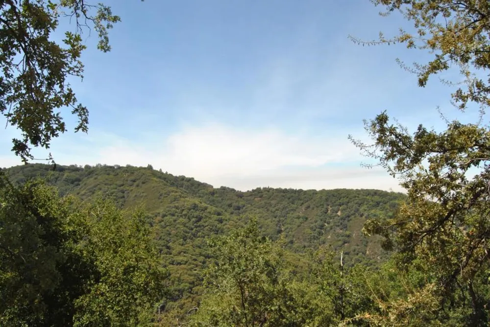 39141 Tassajara Road Carmel Valley, CA 93924