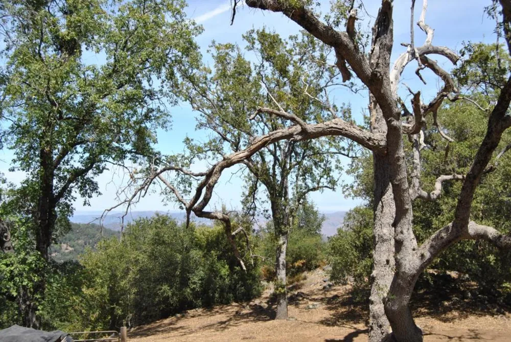 39141 Tassajara Road Carmel Valley, CA 93924