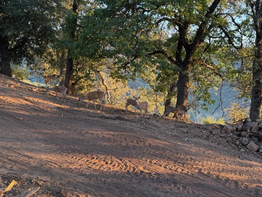 39141 Tassajara Road Carmel Valley, CA 93924