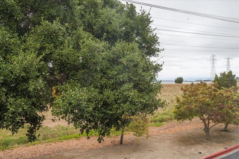 3 Bay San Mateo, CA 94401