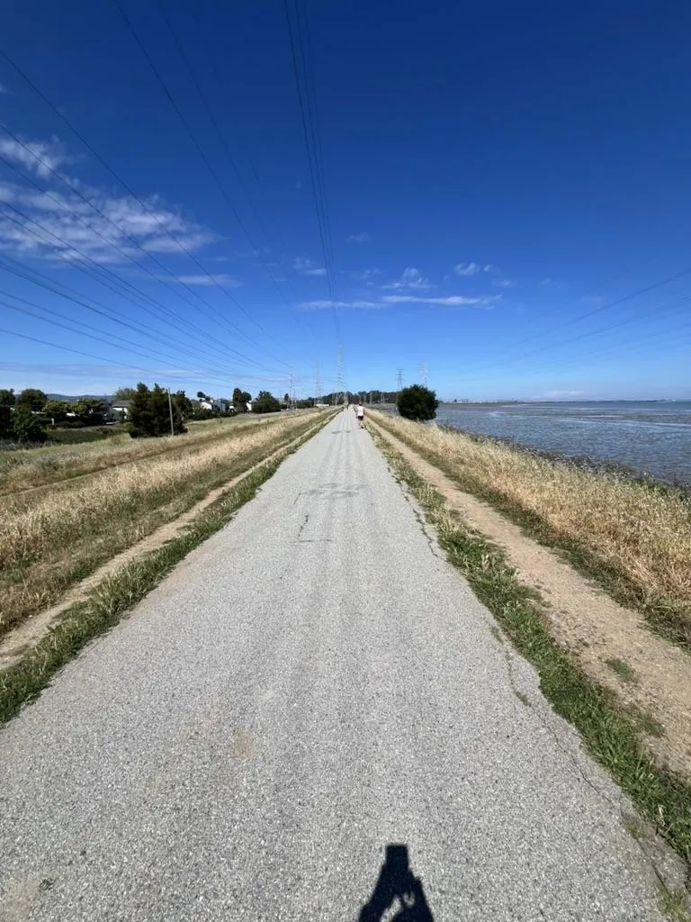 3 Bay San Mateo, CA 94401