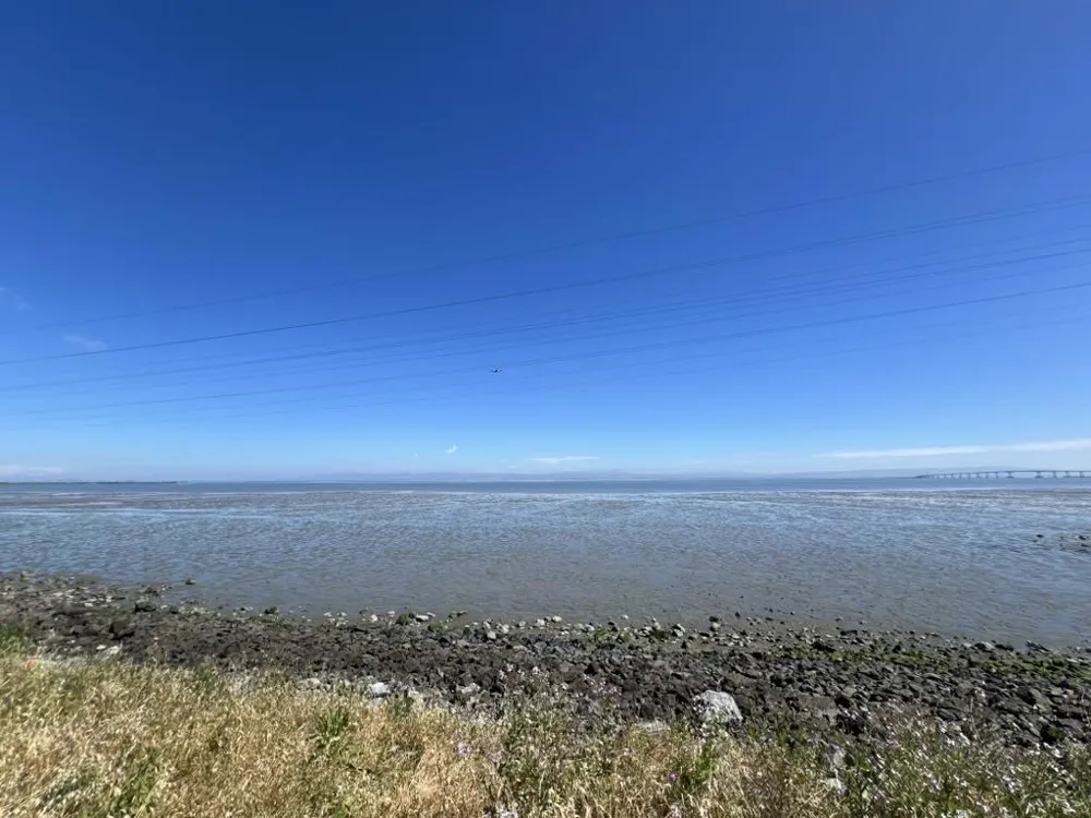 3 Bay San Mateo, CA 94401