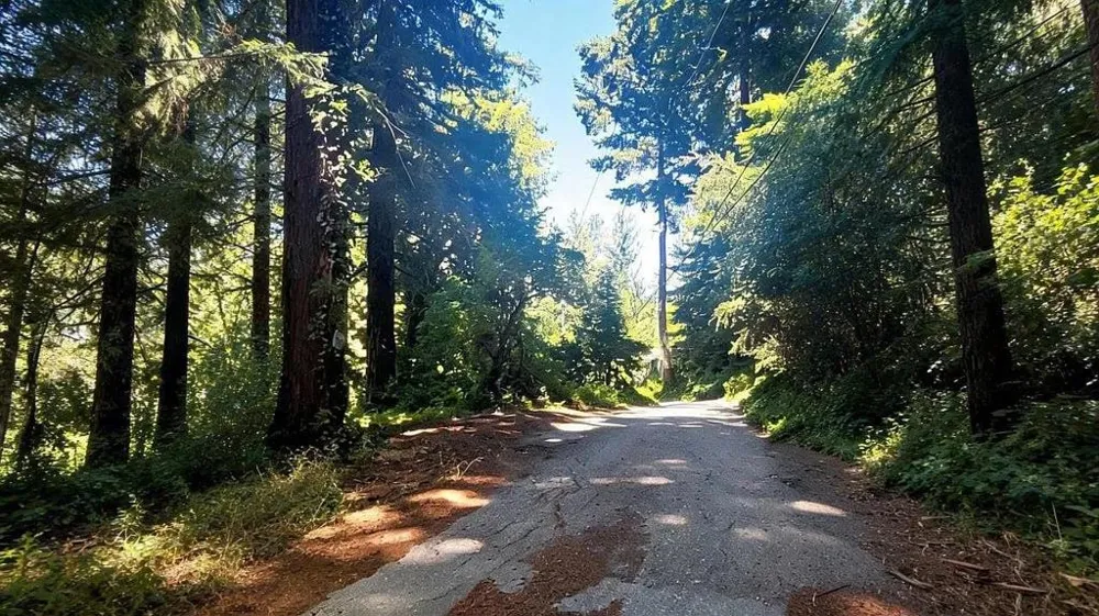 1080 Blue Ridge Drive Boulder Creek, CA 95006