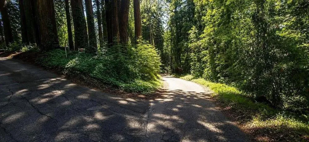 1080 Blue Ridge Drive Boulder Creek, CA 95006