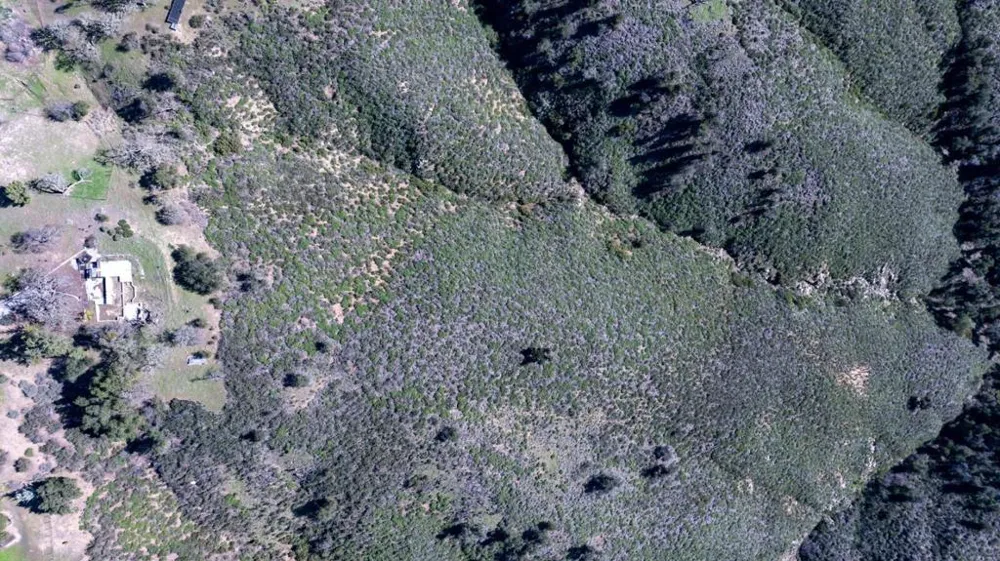 34994 Sky Ranch Road Carmel Valley, CA 93924