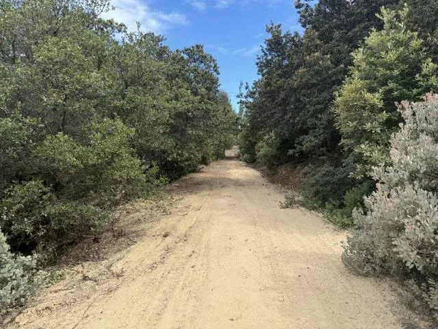 36000 Mt Madonna Road Morgan Hill, CA 95037
