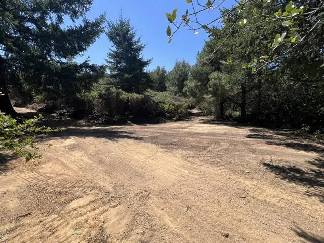 36000 Mt Madonna Road Morgan Hill, CA 95037