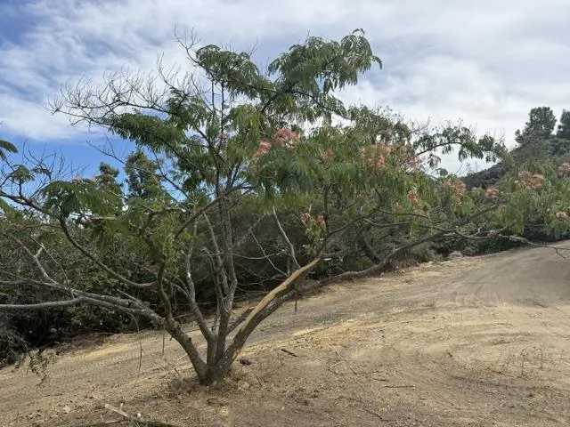 36000 Mt Madonna Road Morgan Hill, CA 95037