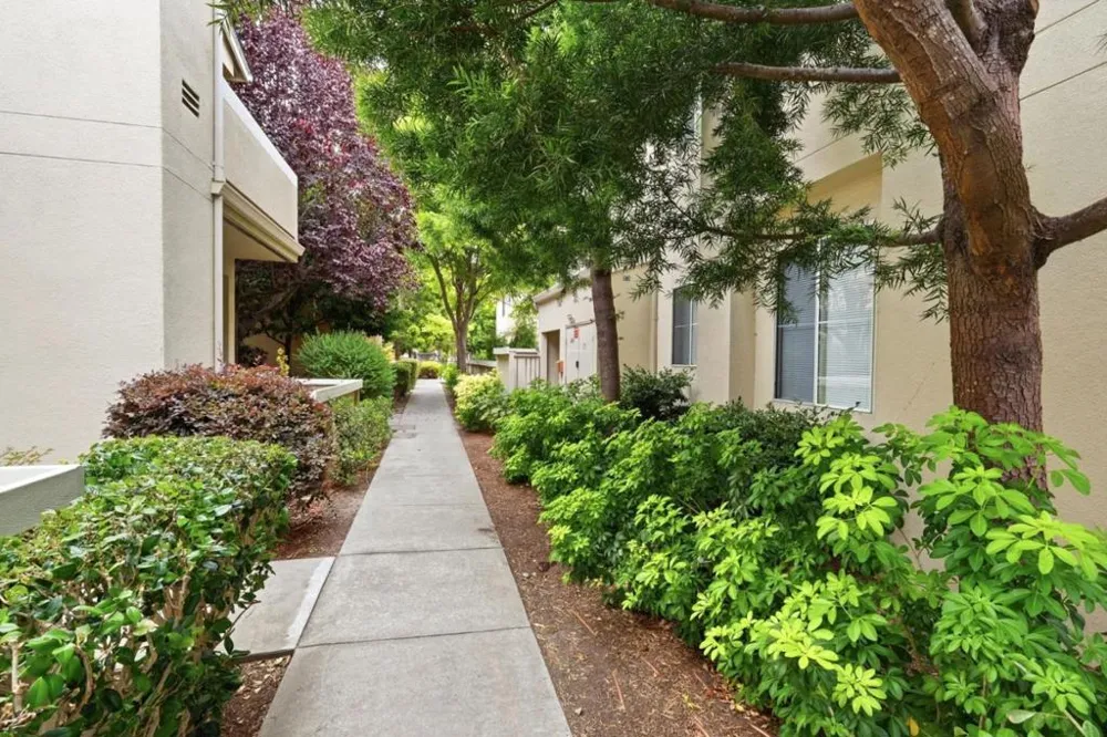 124 Everson Drive Santa Cruz, CA 95060