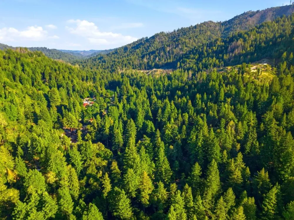 145 Brook Lane Boulder Creek, CA 95006