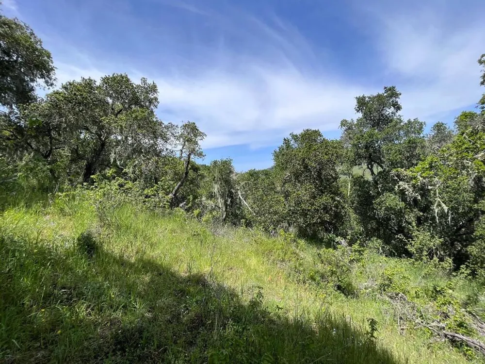 33446 E Carmel Valley Road Carmel Valley, CA 93924
