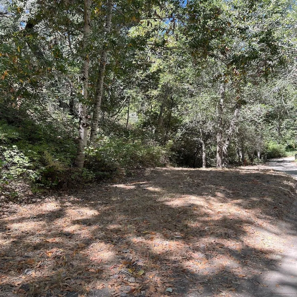 33446 E Carmel Valley Road Carmel Valley, CA 93924