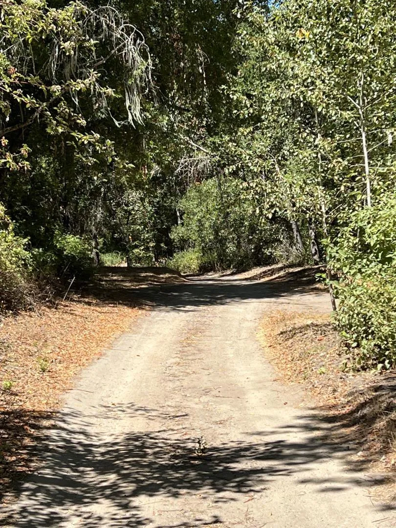 33446 E Carmel Valley Road Carmel Valley, CA 93924