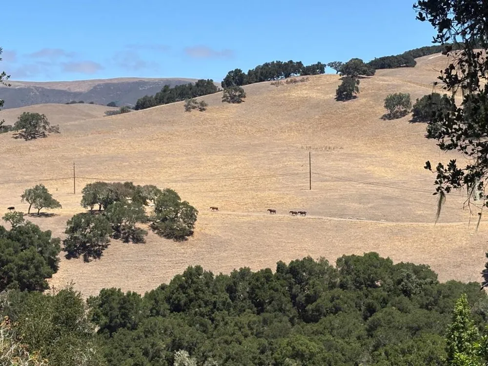 33446 E Carmel Valley Road Carmel Valley, CA 93924