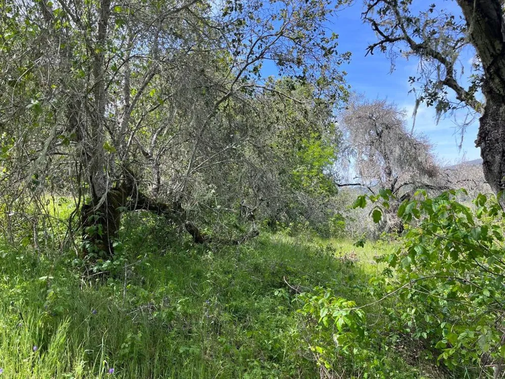 33446 E Carmel Valley Road Carmel Valley, CA 93924