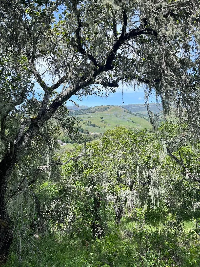 33446 E Carmel Valley Road Carmel Valley, CA 93924