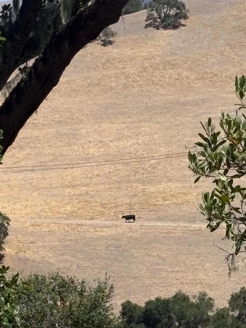 33446 E Carmel Valley Road Carmel Valley, CA 93924