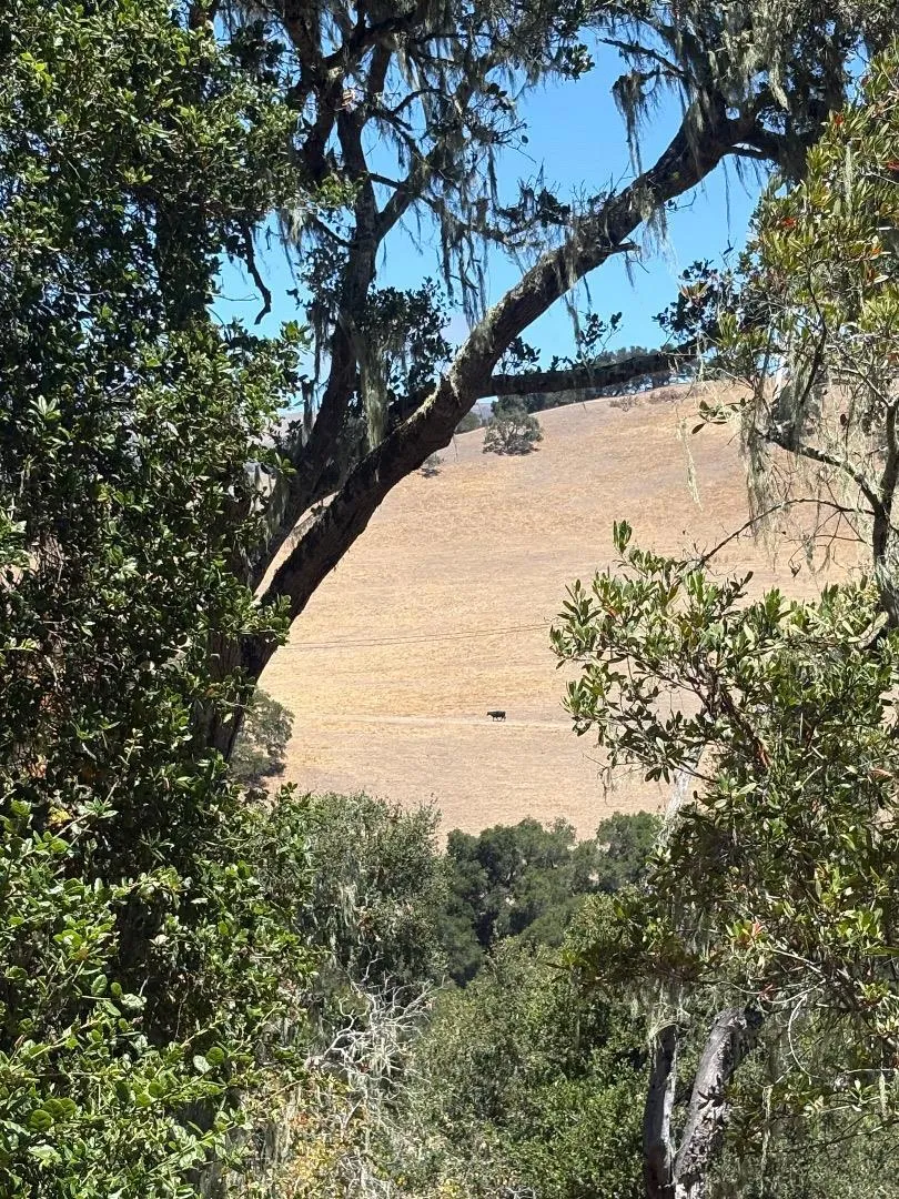 33446 E Carmel Valley Road Carmel Valley, CA 93924