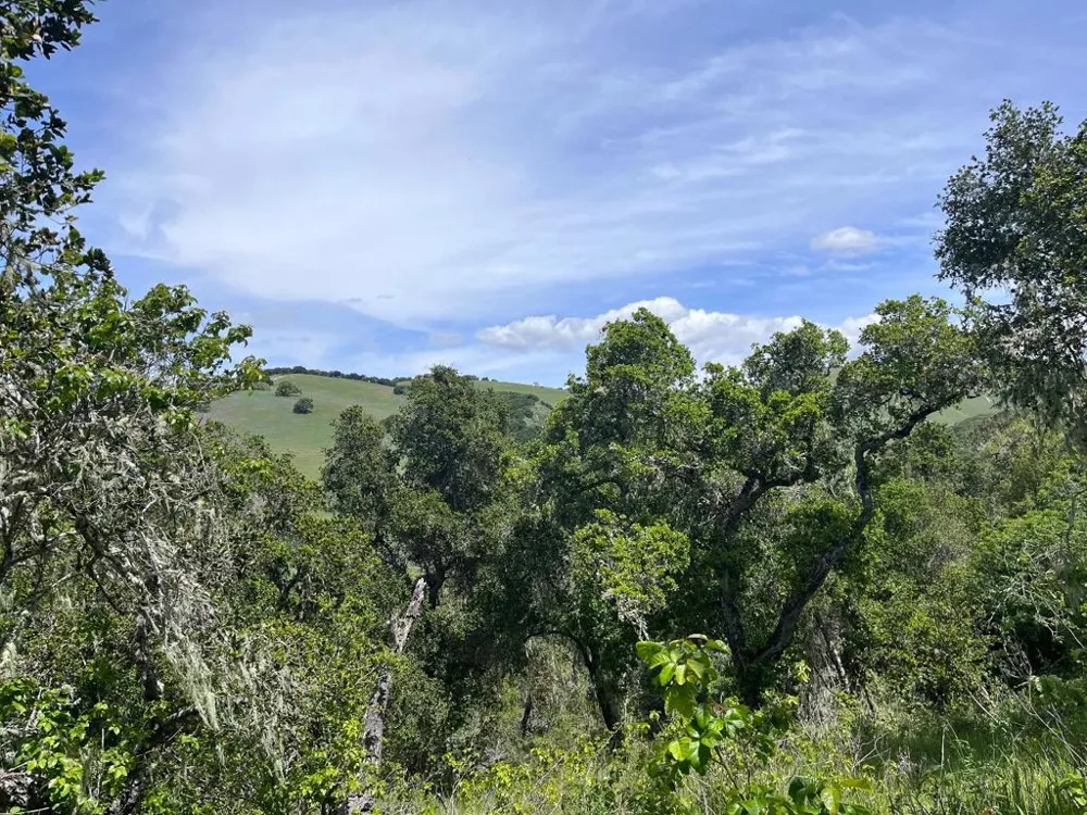 33446 E Carmel Valley Road Carmel Valley, CA 93924