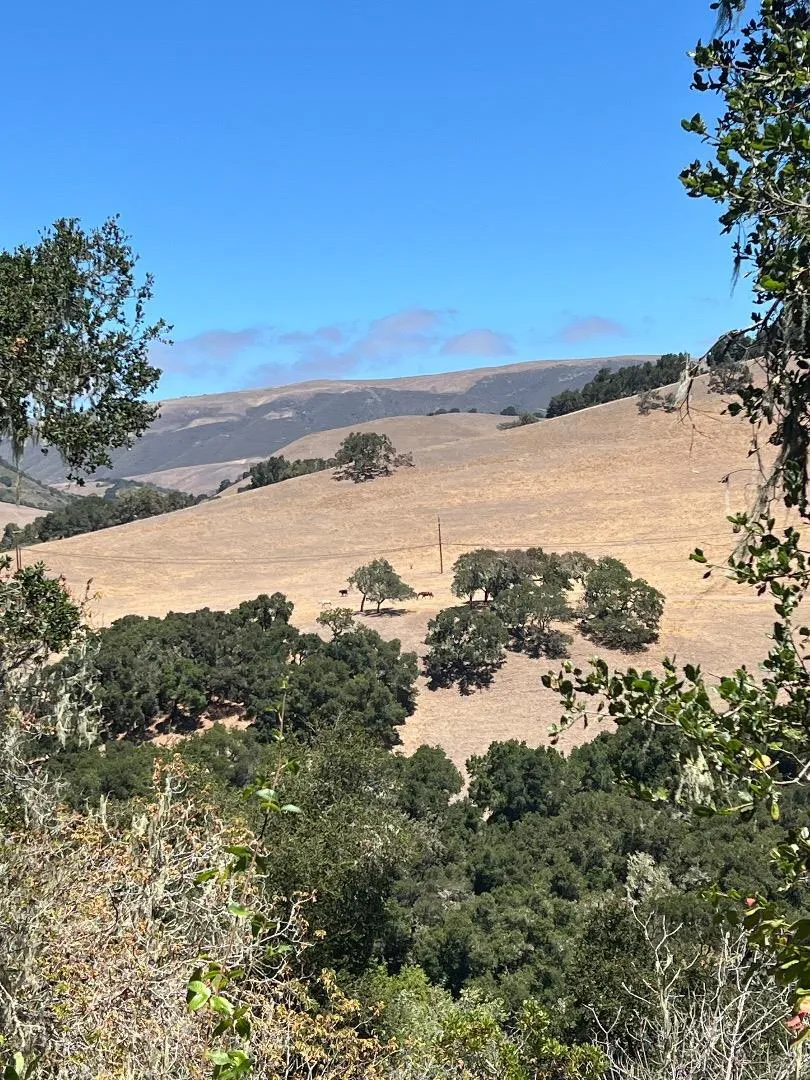 33446 E Carmel Valley Road Carmel Valley, CA 93924