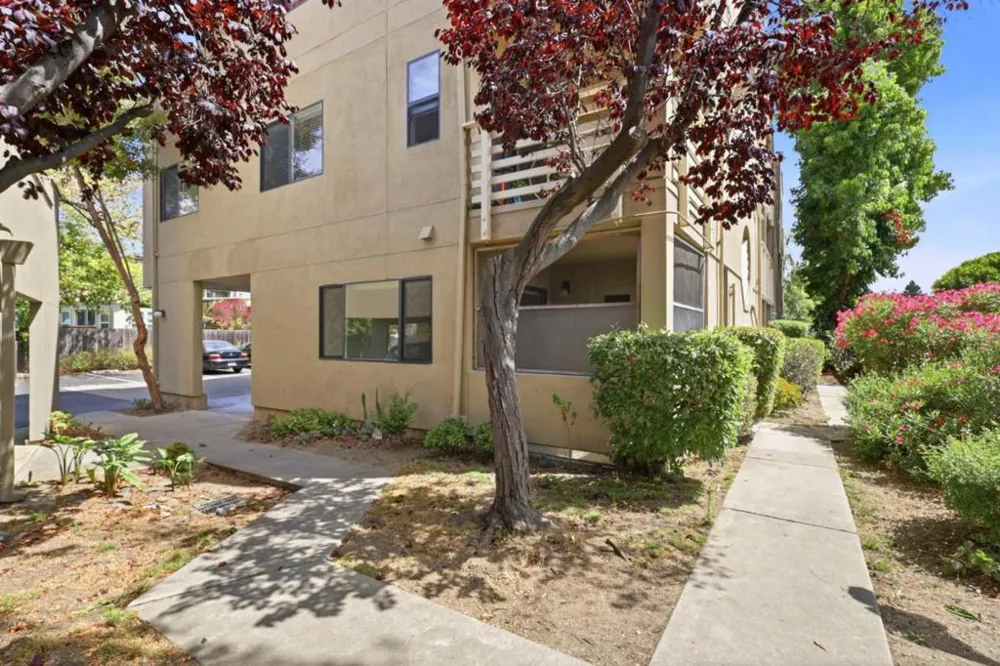 250 River Street #301 Santa Cruz, CA 95060