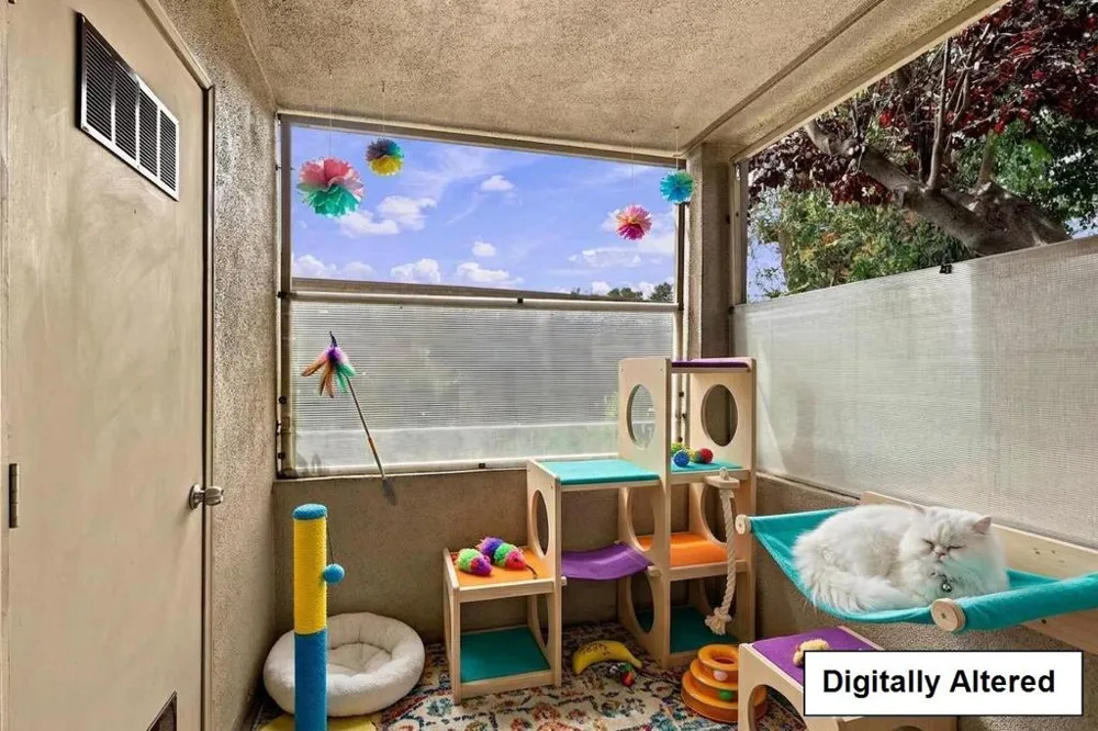 250 River Street #301 Santa Cruz, CA 95060