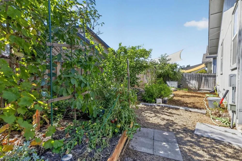 8039 Leno Drive Windsor, CA 95492
