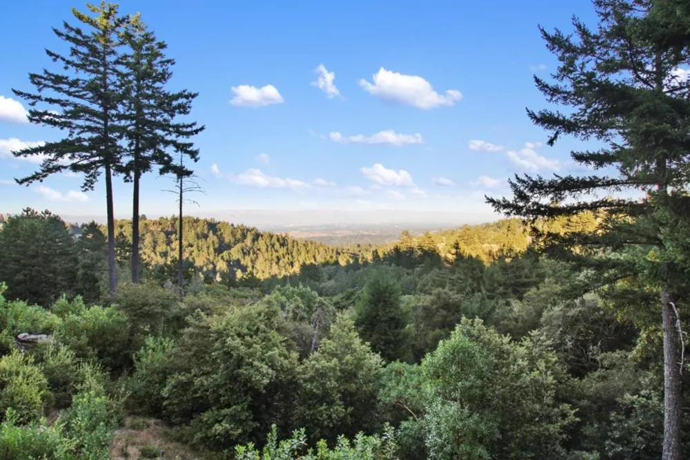 255 Allen Road Woodside, CA 94062