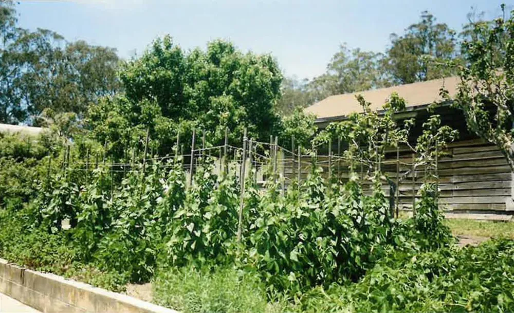 978 Palma Street El Granada, CA 94018