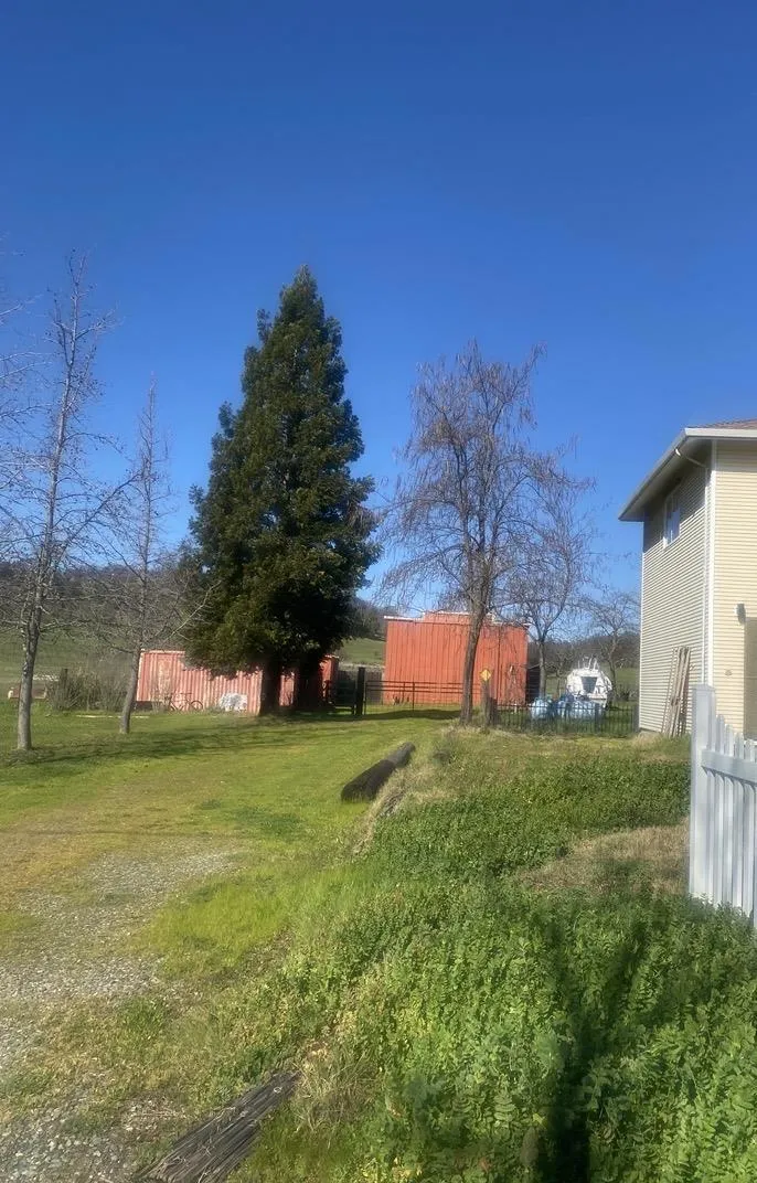 9123 Landrum Street Plymouth, CA 95669