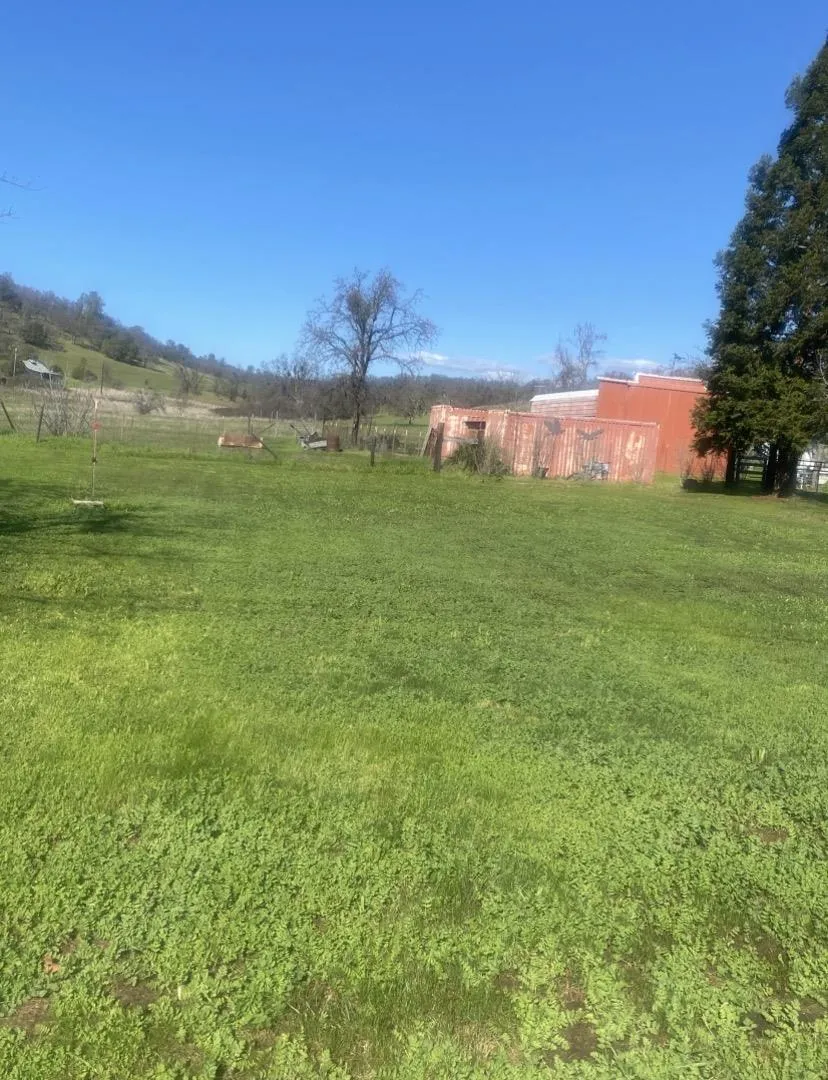 9123 Landrum Street Plymouth, CA 95669