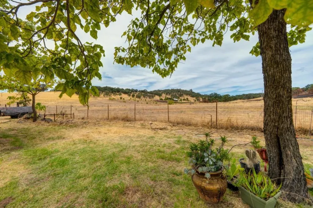 9123 Landrum Street Plymouth, CA 95669