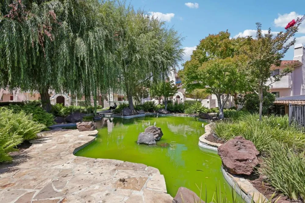 10241 Nile Drive Cupertino, CA 95014