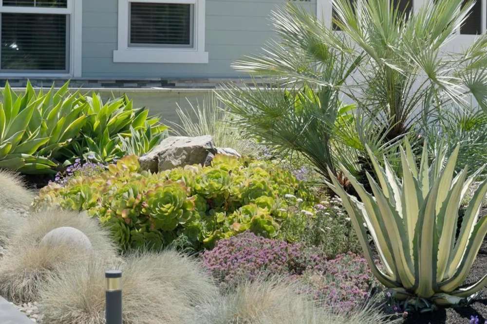 1052 Mcbain Avenue Campbell, CA 95008